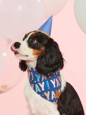 Birthday Yay Navy Dog Bandana (reversible)