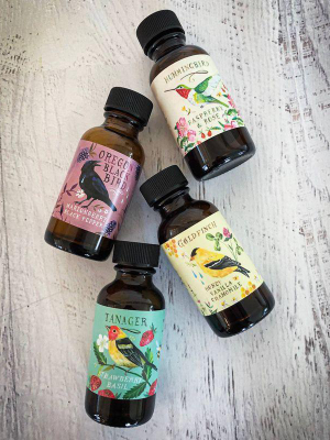 Sweet Bird Collection: Simple Syrup Sampler