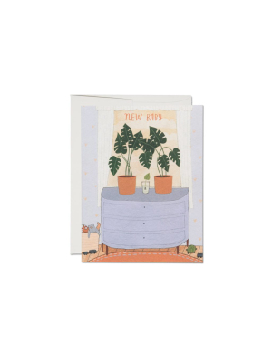 Rc Card, Nursery Plants Baby