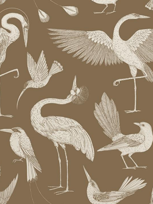 Katie Scott Birds Wallpaper Sugar Kelp