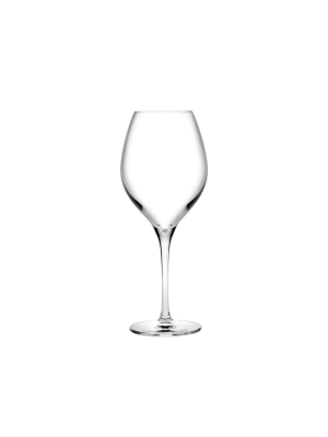 Vinifera Set Of 2 Red Wine Glasses 450 Cc