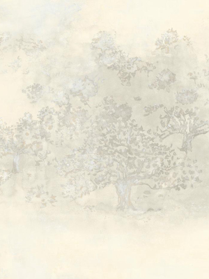 Japanese Tree Wallpaper In Gold, Silver, And Cream From The Transition Collection By Mayflower