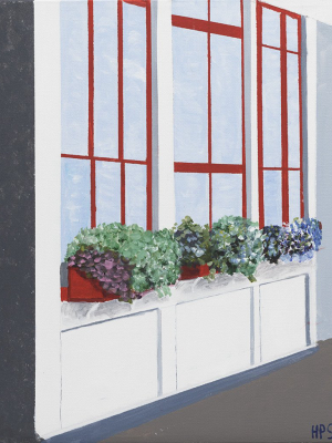 Window Boxes