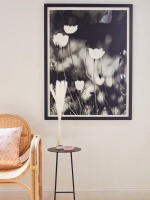 Paivi Vikstrom Flowers In Black And White Art Print