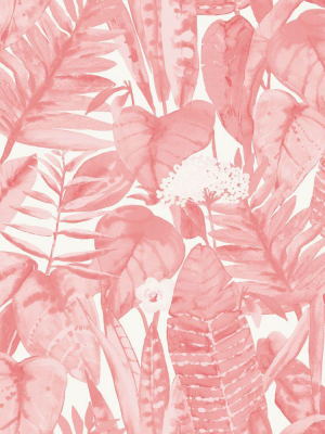 Tropical Self-adhesive Wallpaper In Pink Lemonade By Tempaper