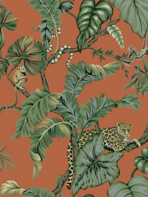 Jungle Cat Wallpaper In Orange From The Traveler Collection By Ronald Redding