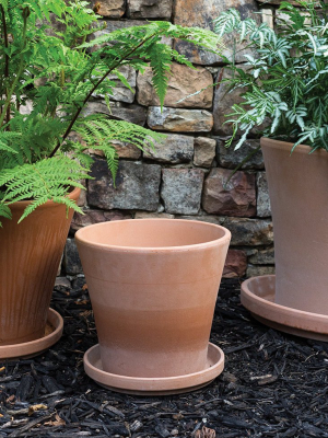 Large Terra Cotta Pot With Drainage - 9.5"