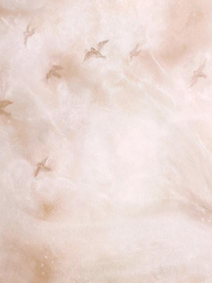 Flight