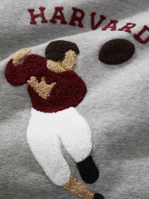 Harvard Illustrated Sweatshirt