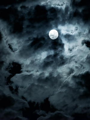 Moonlit Night