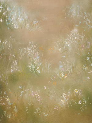 Meadows Way