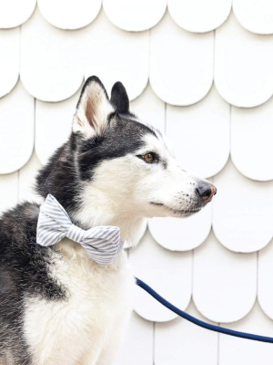 Dusty Blue Stripe Dog Bow Tie