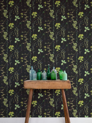 Herbario Wallpaper In Botanical Design By Aimee Wilder