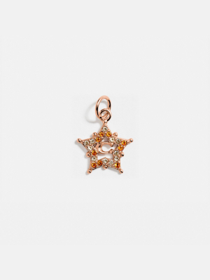 Collectible Star Signature Charm