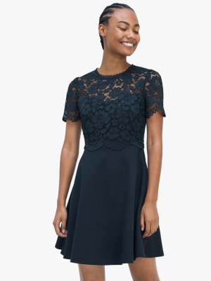 Rose Lace-bodice Ponte Dress