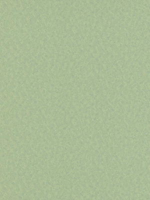 Elspeth Solid Wallpaper In Medium Green Design By Bd Wall