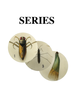 10" Round Insects On Sale