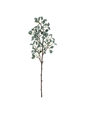 Vickerman 22" Gray Green Eucalyptus Branch.