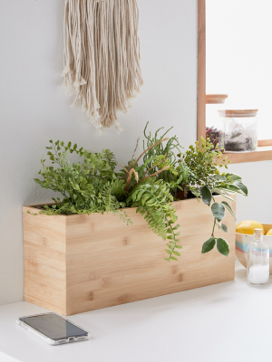 Modern Sprout Hydro Planter