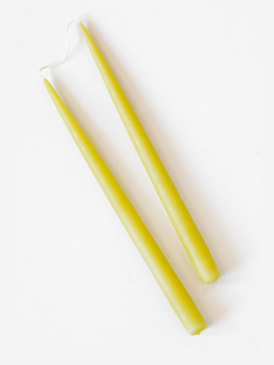 Chartreuse Candlesticks