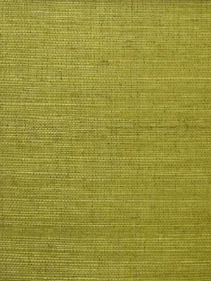 Sisal Wallpaper In Moss Green From The Winds Of The Asian Pacific Collection By Burke Decor