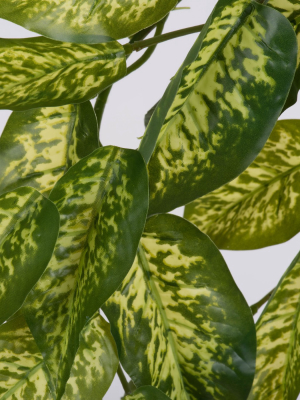 Vickerman 24" Artificial Green Dieffenbachia Bush Vine.