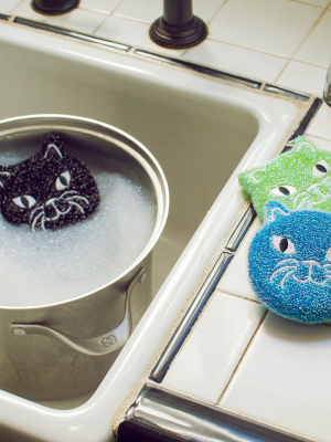 Cat Sponges Set Of 3