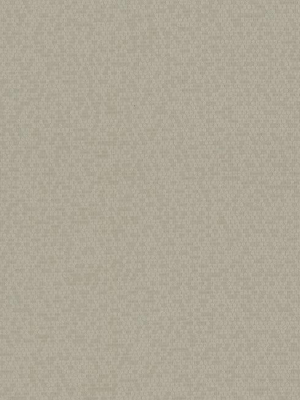 Honey Bee Wallpaper In Beige And Brown From The Terrain Collection By Candice Olson For York Wallcoverings