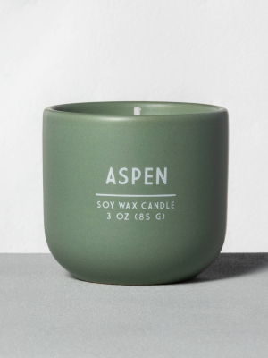 3oz Holiday Ceramic Candle Aspen - Hearth & Hand™ With Magnolia