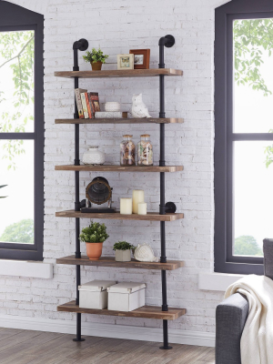 Modern Industrial 6-tier Iron Pipe Wall Mount Ladder Shelf Distressed Wood - Danya B.