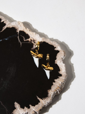 Shark Tooth Gold Earring