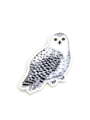 Snowy Owl Sticker