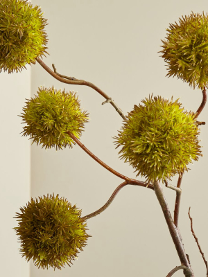 Faux Chestnut Branch