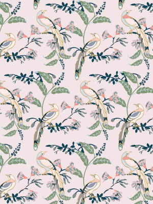 Birds Of Paradise Wallpaper In Pink Lady From The Wallpaper Republic Collection By Milton & King