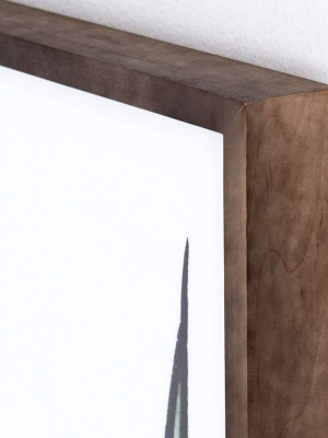 Botanicals In Watercolor By Jess Engle