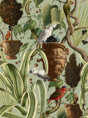 Exotic Menagerie Wallpaper In Light From The Wallpaper Compendium Collection By Mind The Gap