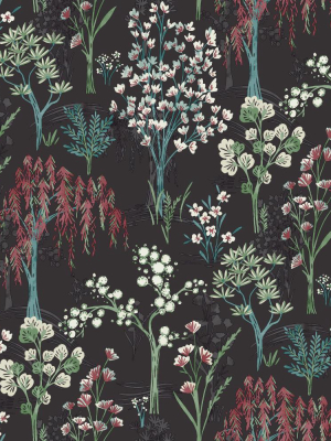 Charcoal Whimsical Botanicals Wallpaper By Walls Republic