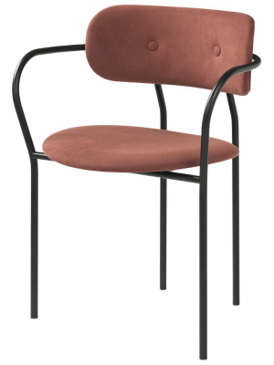 Coco Dining Armchair