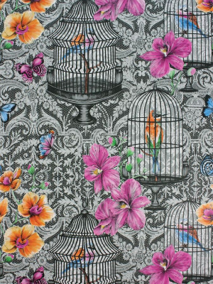 Orangery Wallpaper In Gray And Multi-color From The Belvoir Collection By Matthew Williamson