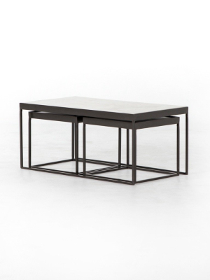 Evelyn Nesting Coffee Table - Gunmetal And Marble