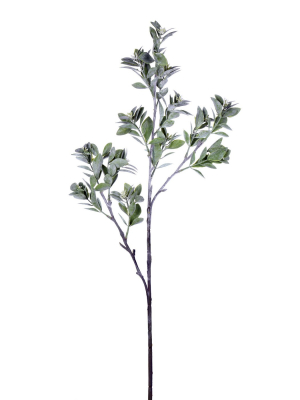 Vickerman 31" Artificial Green And White Aglaia Spray.