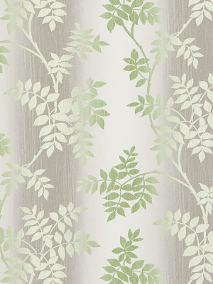 Posingford Wallpaper In Grey And Green From The Ashdown Collection By Nina Campbell For Osborne & Little