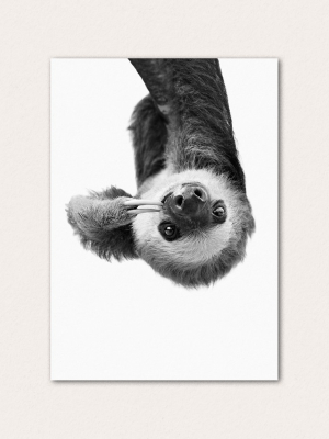 Sloth Bw