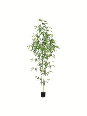 Vickerman Artificial Potted Mini Bamboo Tree.