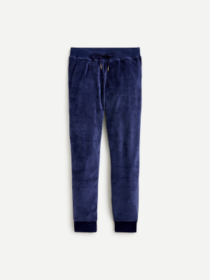 Jogger Pant In Velour