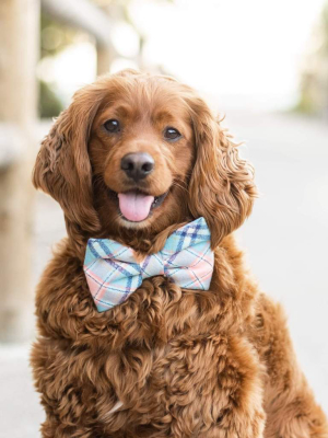 Pastel Plaid Flannel Dog Bow Tie