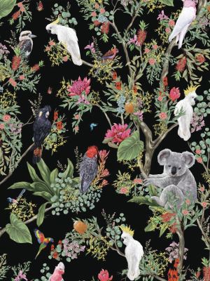 Australia Wallpaper In Night From The Kingdom Home Collection By Milton & King