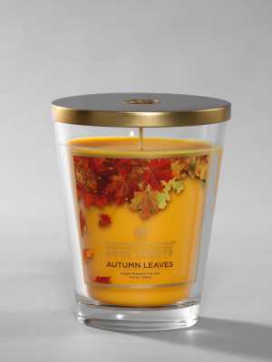 11.5oz Lidded Glass Jar Autumn Leaves Candle - Home Scents By Chesapeake Bay Candle