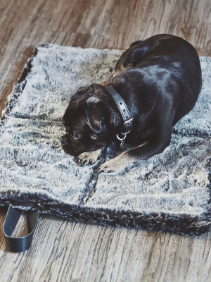 Cosmo Travel Dog Bed