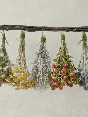 Hanging Herbs & Flowers